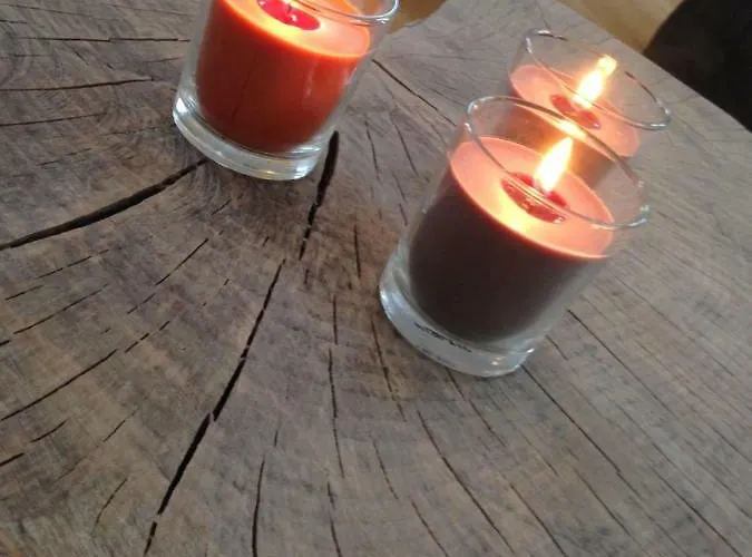 Σπίτι διακοπών Les Roseaux De